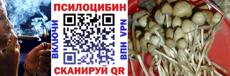 Купить где  Нижнеудинск  Псилоцибиновые грибы GOLDEN TEACHER 